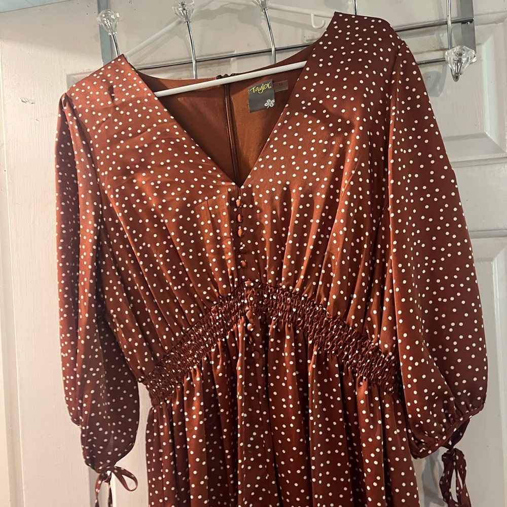 Taylor Brown Long Sleeve Polka Dot Dress - Picture 2 of 3